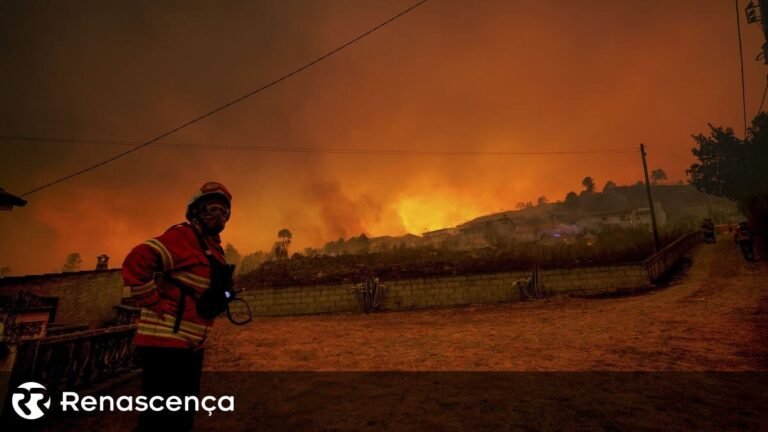 Incêndios: IL critica Governo por soluções paliativas e falhas na prevenção