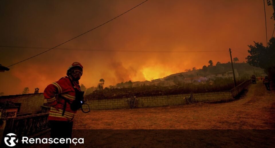 Incêndios: IL critica Governo por soluções paliativas e falhas na prevenção