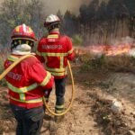 Cientistas descobrem via do açúcar que impulsiona câncer infantil agressivo