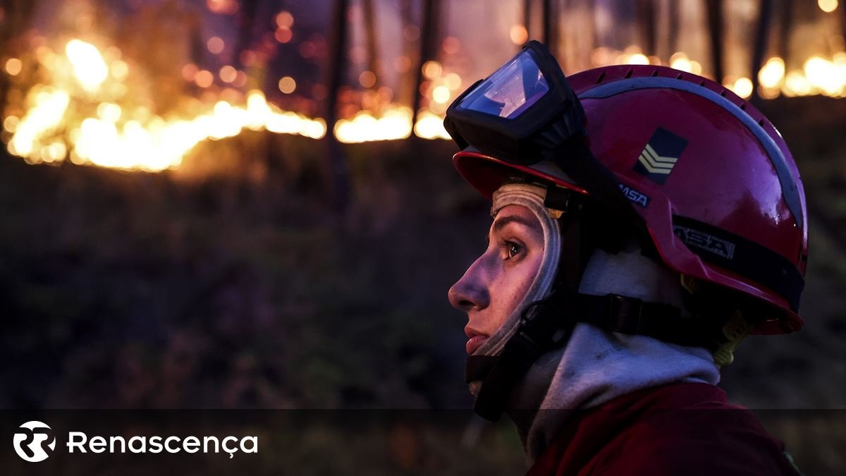 Incêndios: Proteção Civil em Prontidão até Outubro