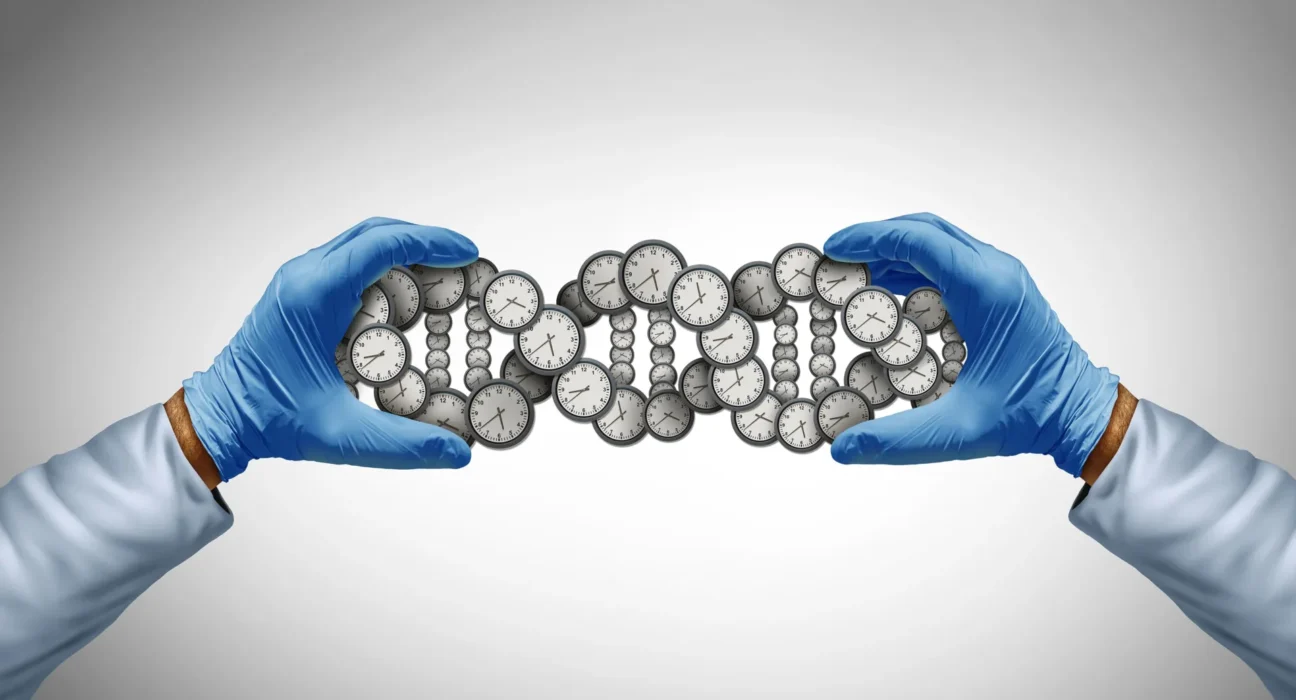 Por que algumas pessoas envelhecem mais rápido: os 400 genes por trás disso