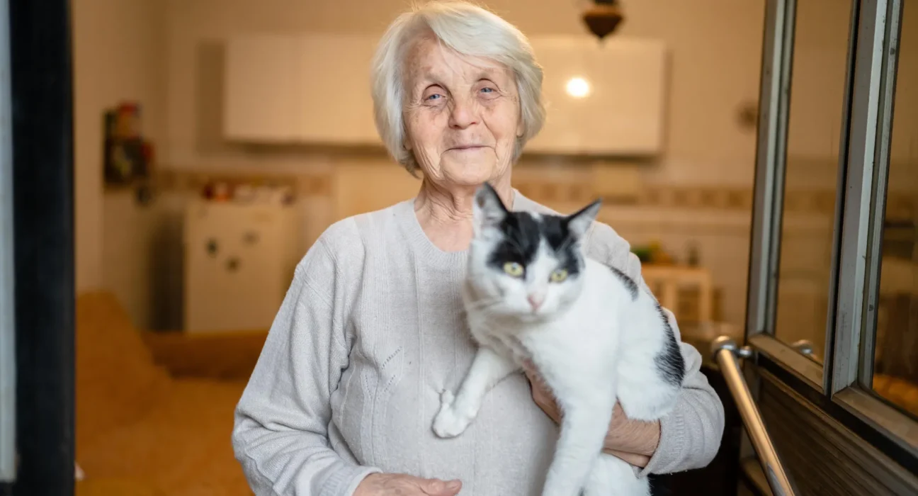 Como gatos com demência podem ajudar a decifrar o enigma do Alzheimer