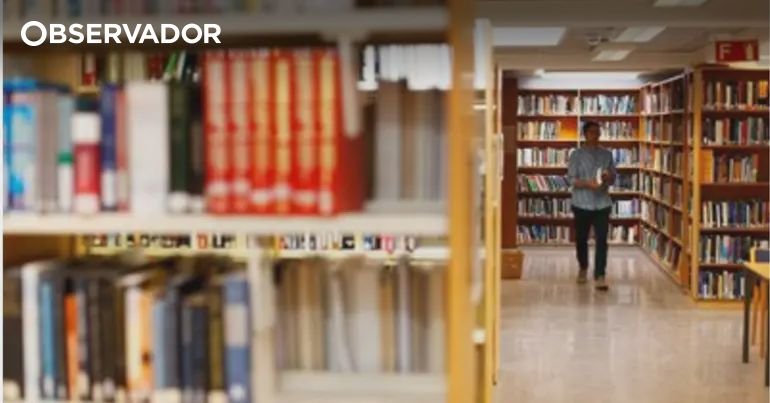 Associação de Bibliotecários Solicita Esclarecimentos ao Governo sobre a Rede de Bibliotecas Escolares e o Plano Nacional de Leitura