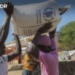 Desinformação sobre Imigração Aumenta em Julho em Portugal