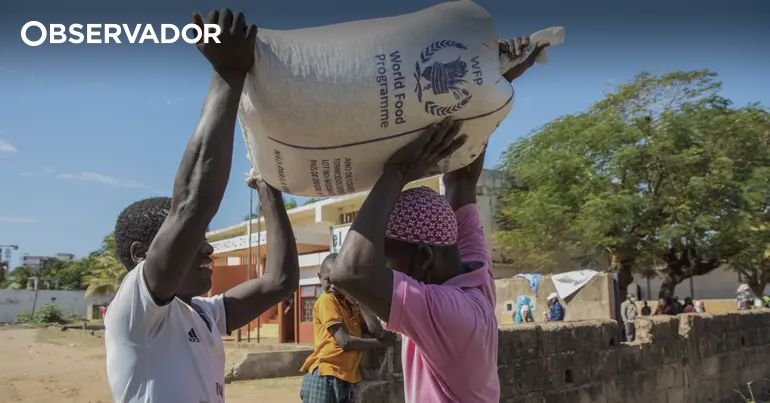 Programa Alimentar Mundial auxilia mais de 250 mil afetados pela seca em Moçambique desde novembro