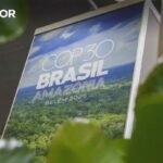 Transinsular: Novo Navio e Frequência Semanal para os Açores a Partir de Setembro