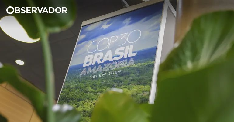 Blue Azores convidado a integrar grupo de trabalho da COP30