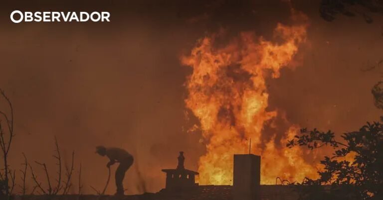 Psicólogos da Linha SOS Criança oferecem apoio a vítimas de incêndios