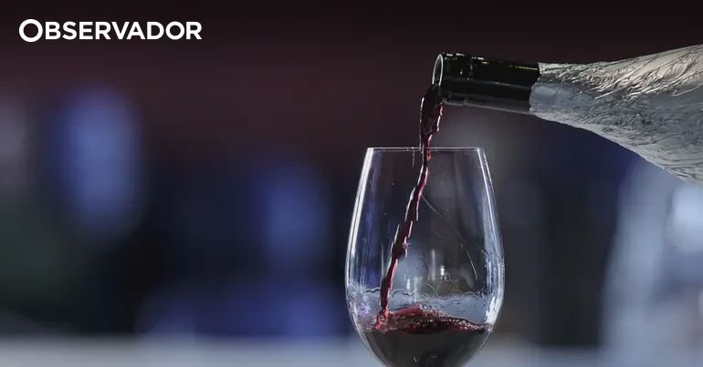 Promoção do Enoturismo e Qualidade dos Vinhos: Prioridades do IVV Açores
