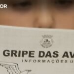 Incêndios: Críticas do Partido Socialista ao Governo por Não Declarar Estado de Calamidade
