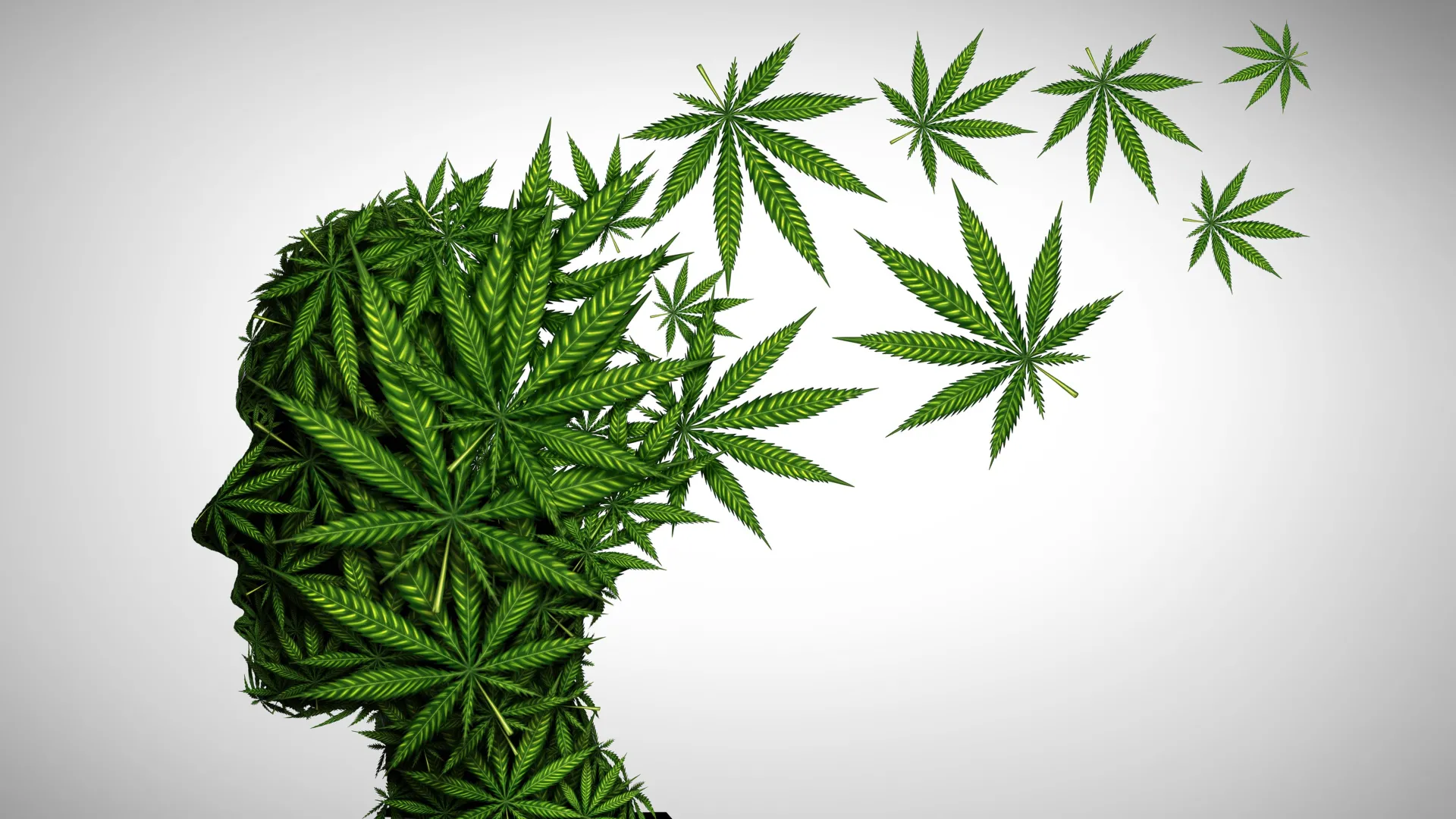 O perigo oculto para a saúde mental no cannabis com alto THC