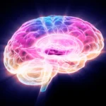 Fenerbahçe de Mourinho: Reforço no Meio-Campo da Premier League Antes do Jogo Decisivo com o Benfica