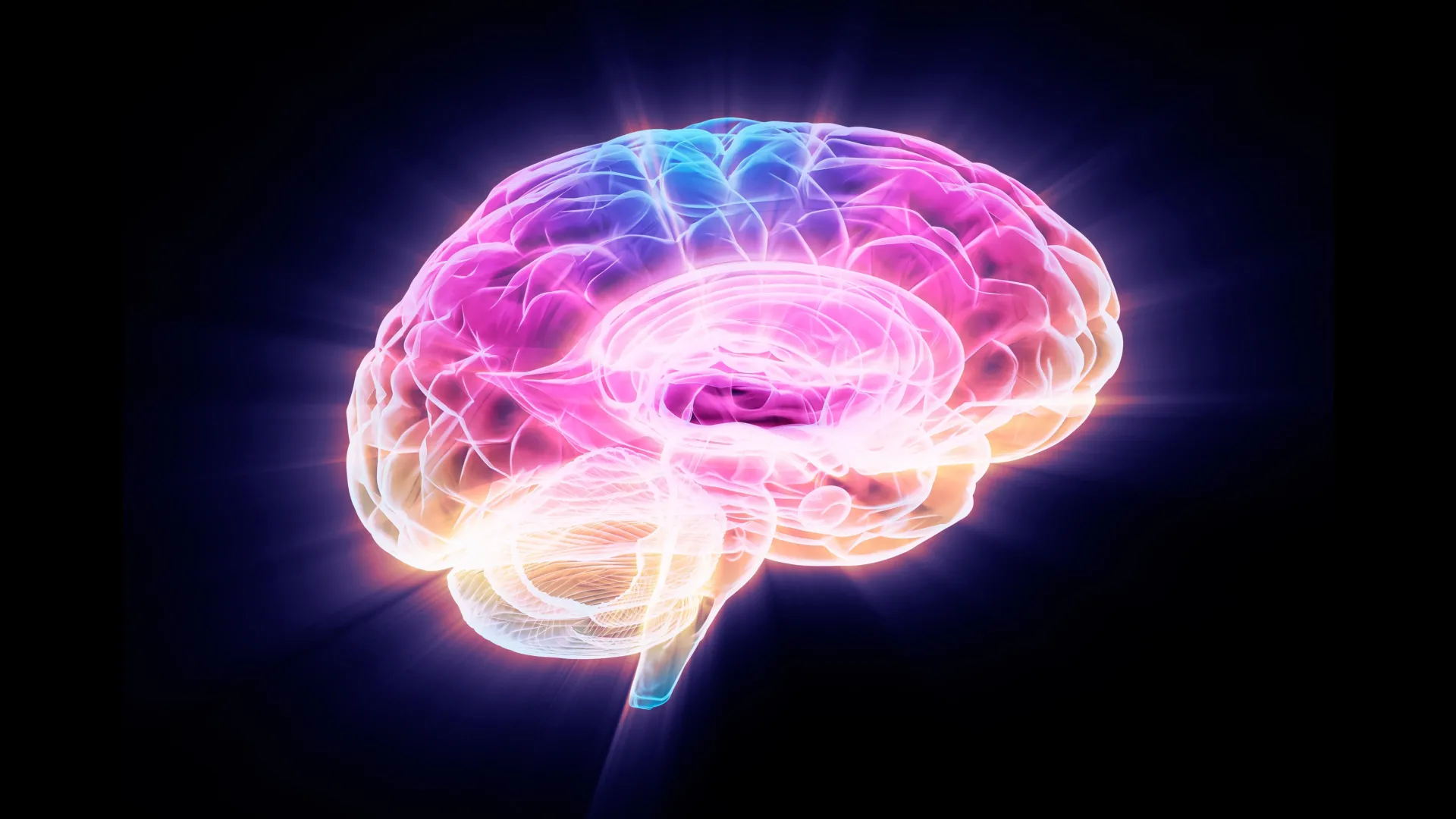 Cientistas descobrem proteína que reverte o envelhecimento cerebral