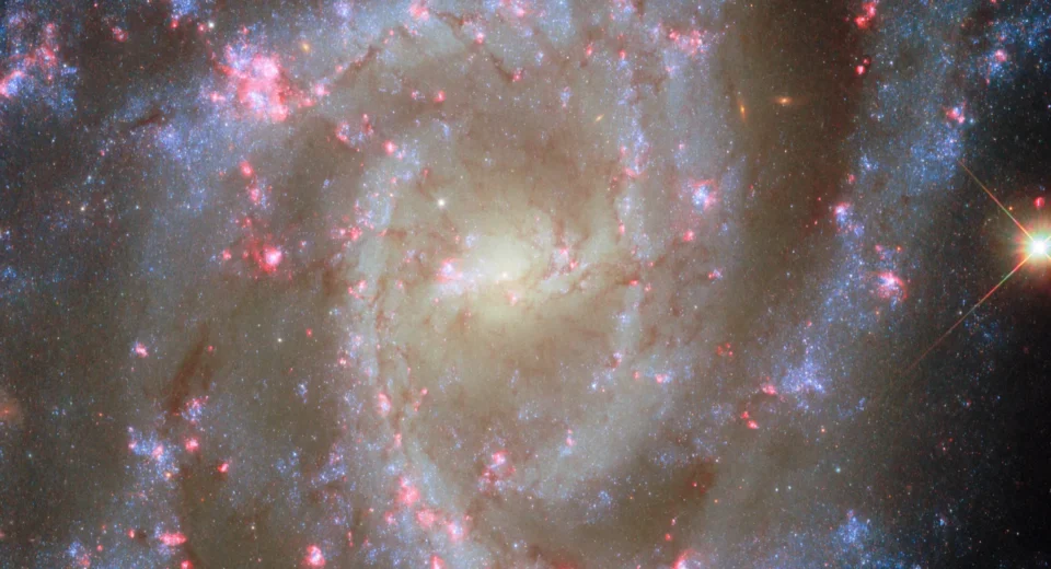 Deslumbrantes flores galácticas com nebulosas rosas na nova imagem do Hubble