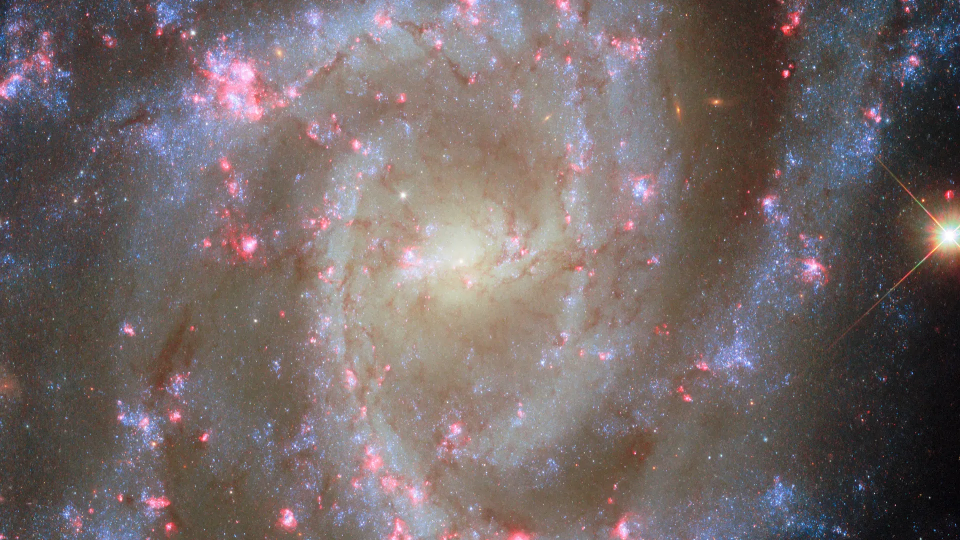 Deslumbrantes flores galácticas com nebulosas rosas na nova imagem do Hubble