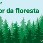As Consequências da Teimosia do Governo em Situação de Calamidade