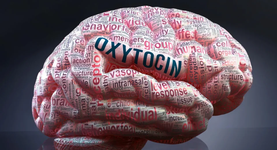 A surpreendente química cerebral por trás das amizades instantâneas
