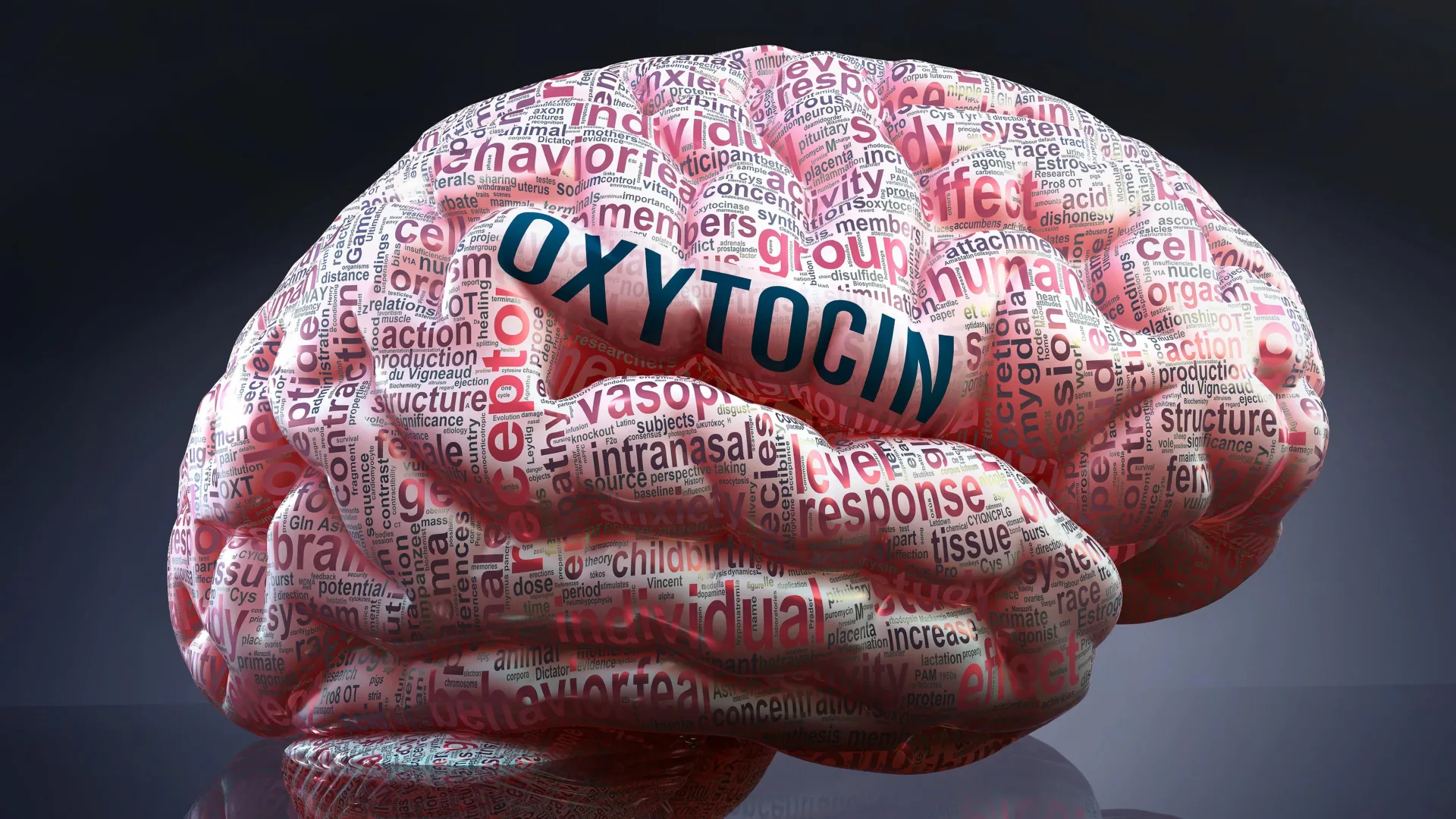 A surpreendente química cerebral por trás das amizades instantâneas