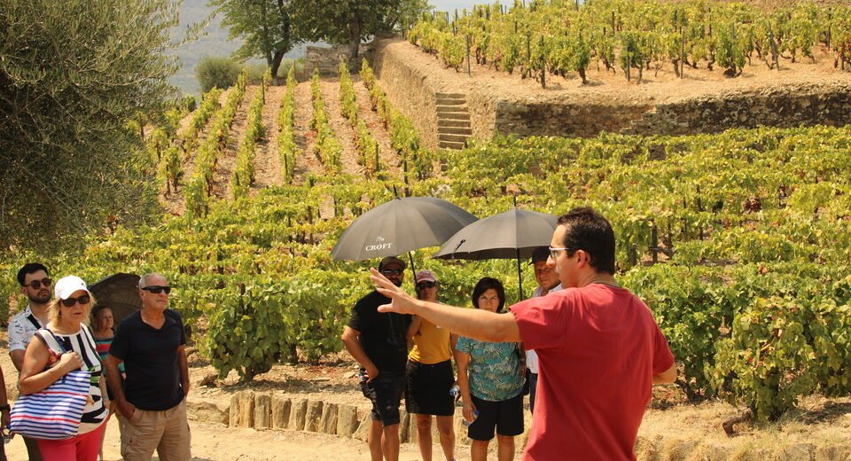 Viticultores do Douro têm até 25 de setembro para solicitar apoio à destilação de uva