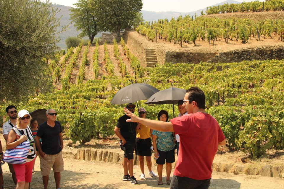 Viticultores do Douro têm até 25 de setembro para solicitar apoio à destilação de uva