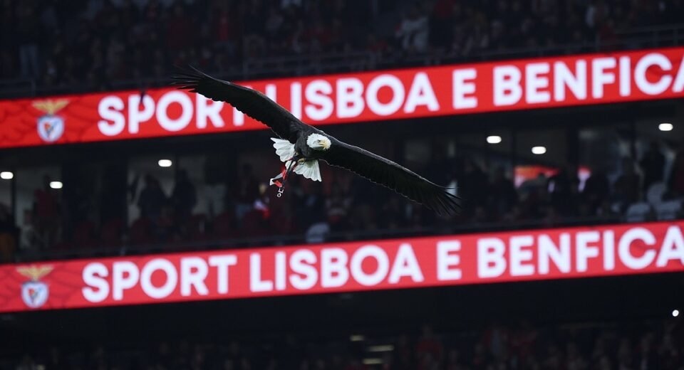 Benfica Poderia Ter Realizado a Maior Venda do Mercado no Último Dia