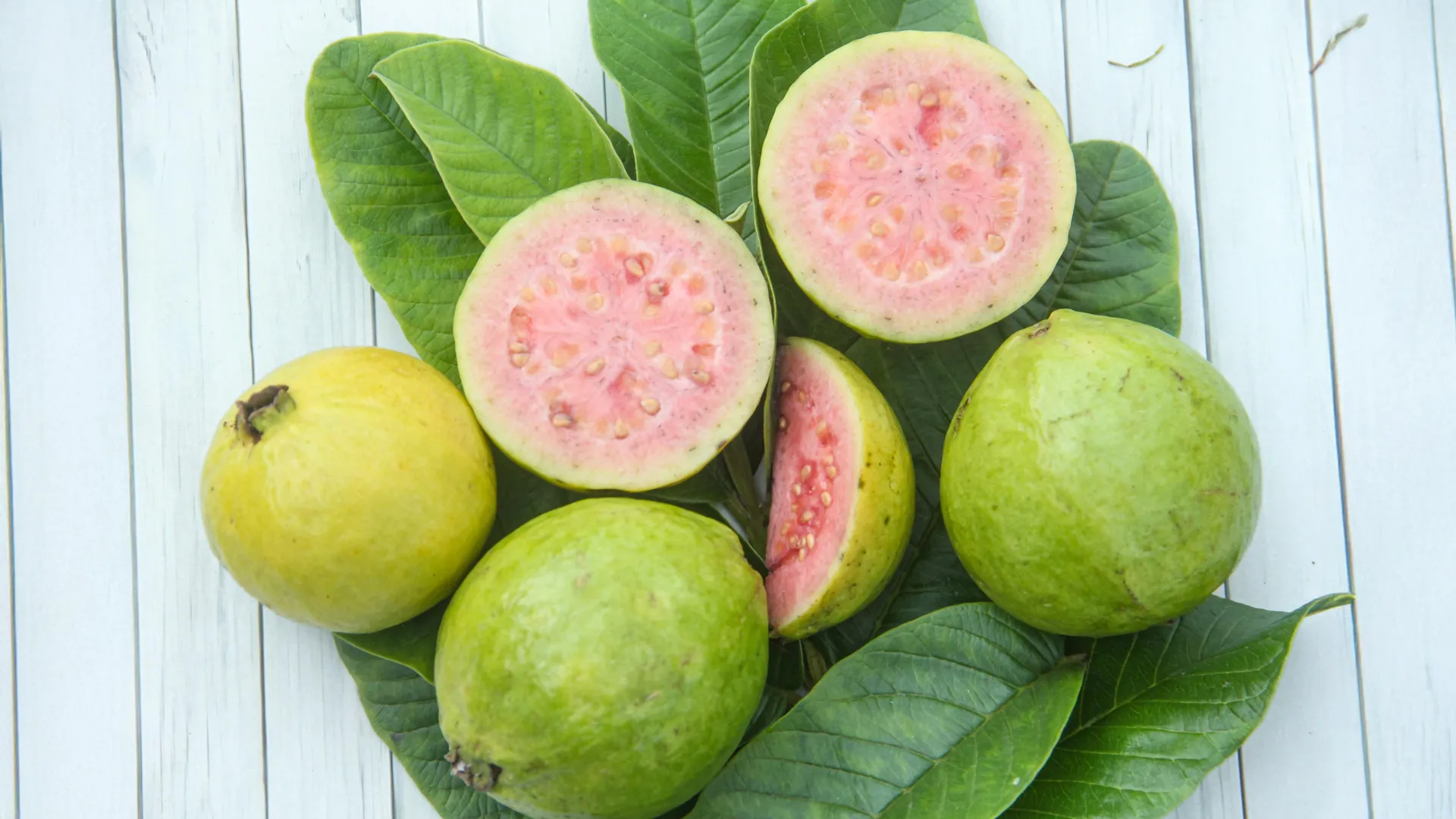 A molécula secreta da guava pode combater o câncer de fígado