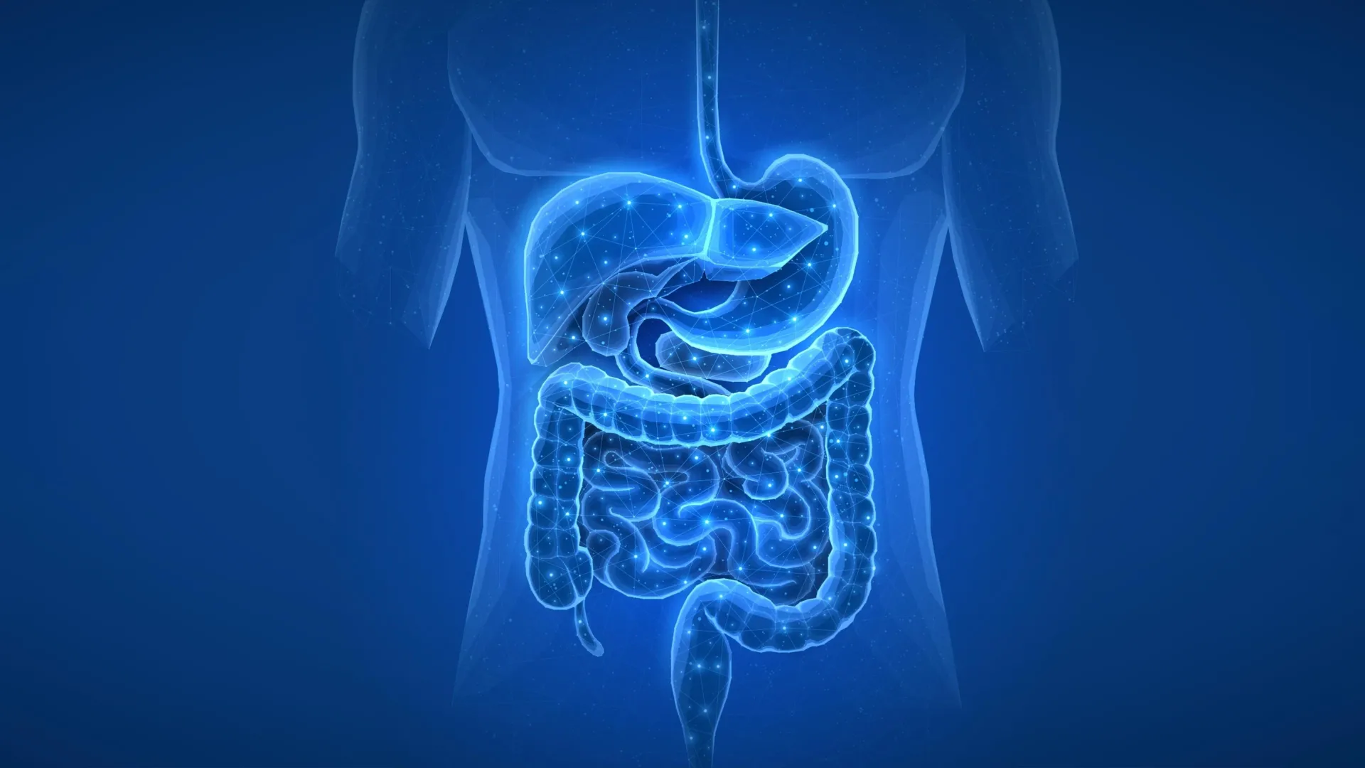 Descoberta surpreendente no intestino revela um gatilho oculto para diabetes e doenças do fígado