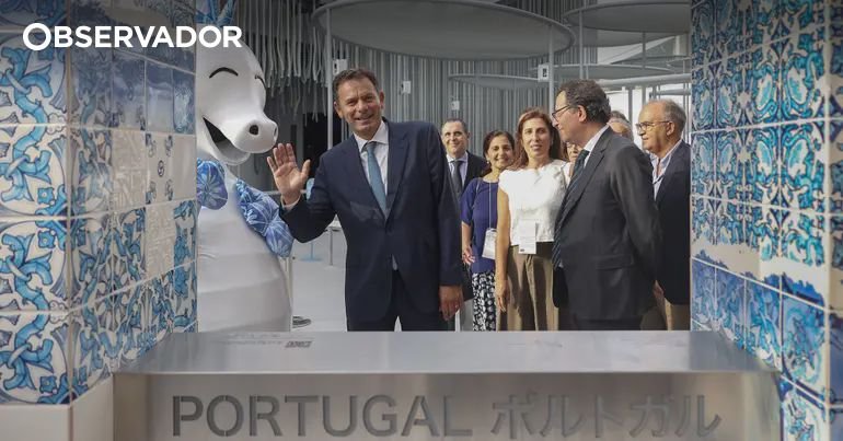 Montenegro: Cozinhar com Chefs Michelin e Emoções na Reta Final da Visita