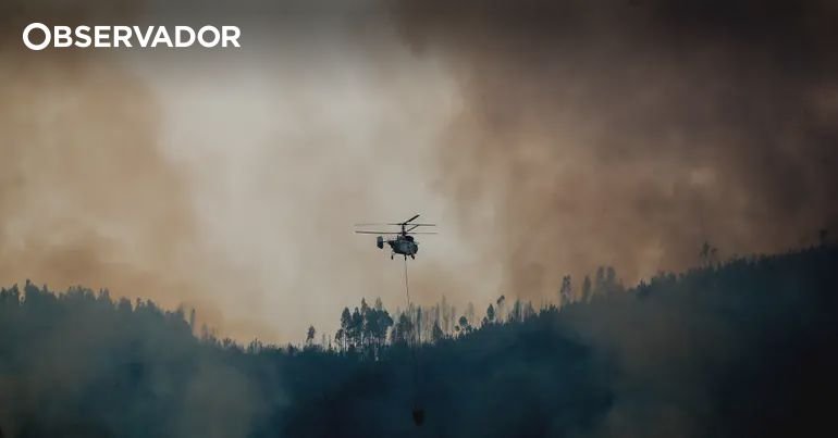 Incêndios: Seia desativa o Plano Municipal de Emergência de Proteção Civil
