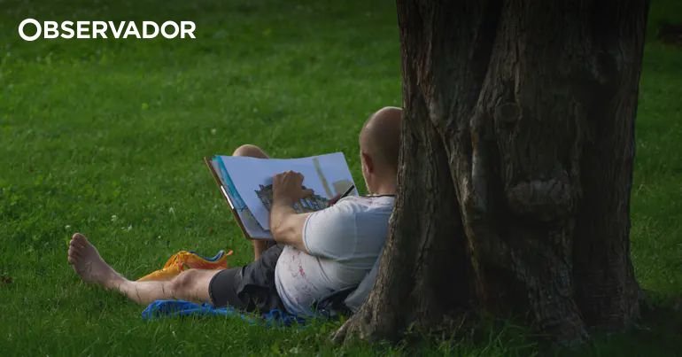 Inauguração do Novo Parque Verde em Carnide neste Sábado