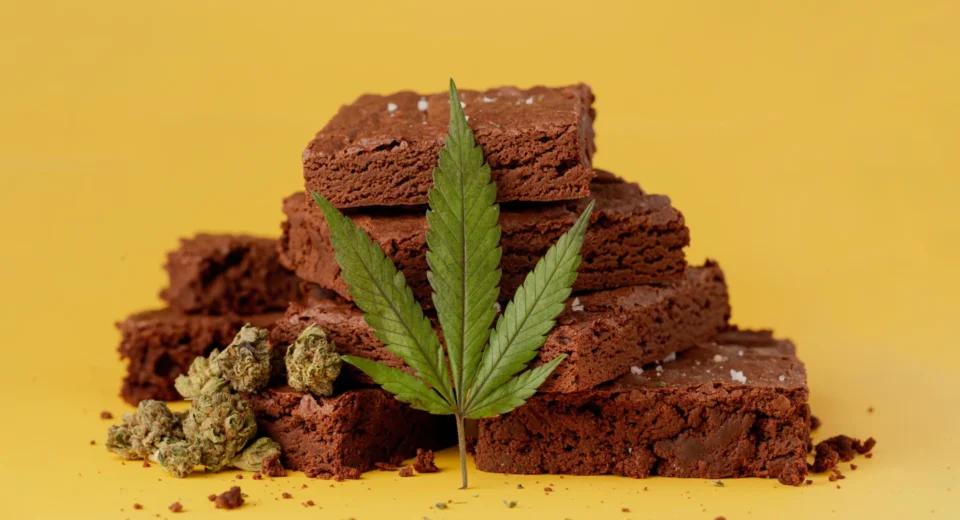 O uso de cannabis pode quadruplar o risco de diabetes