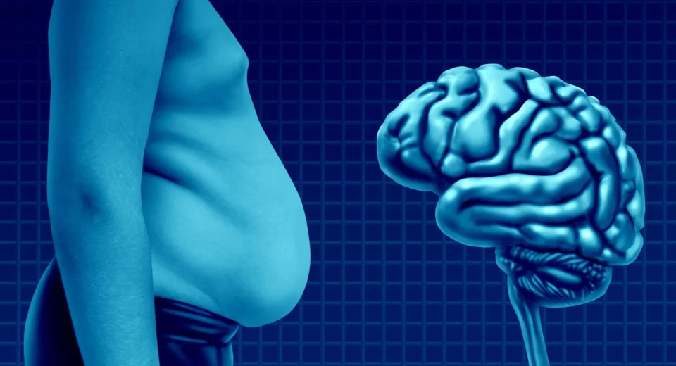 Cientistas descobrem interruptor de células cerebrais que pode reverter os efeitos da obesidade