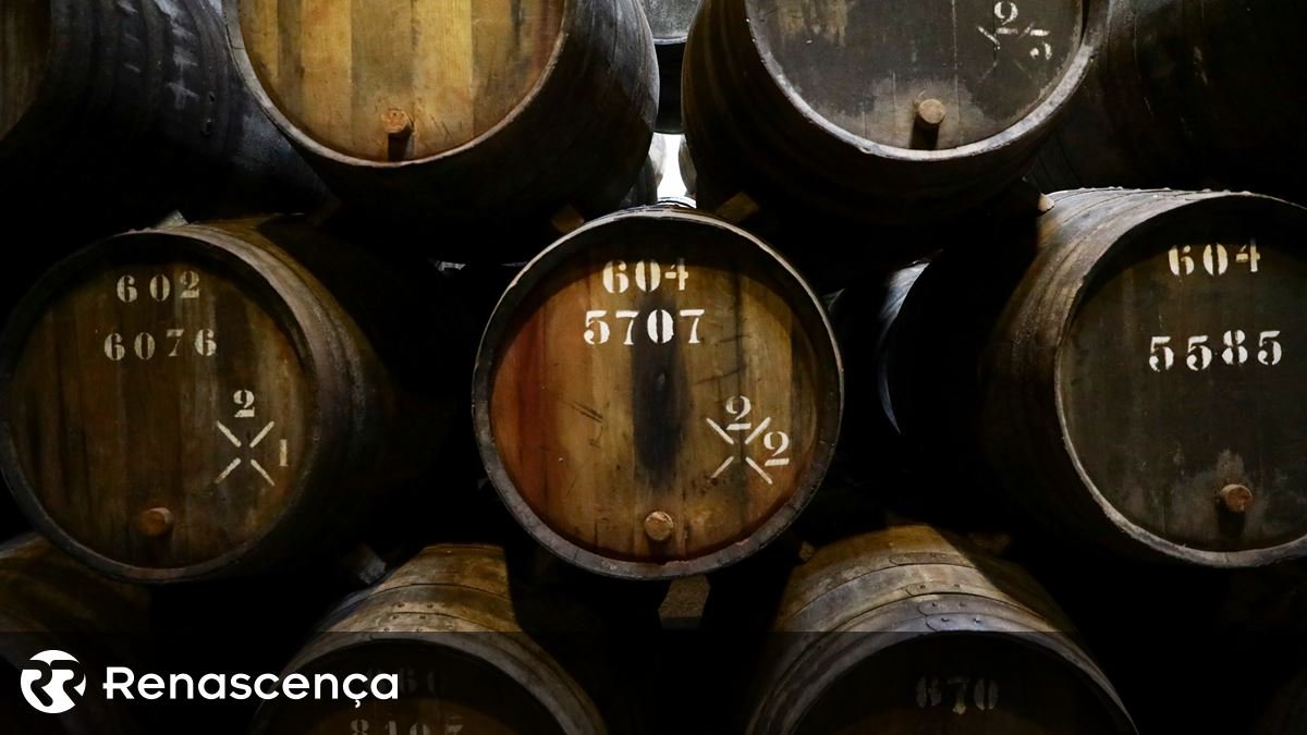 IVDP Celebra o Dia do Vinho do Porto: Desafios de um Produto para Turistas Ecléticos