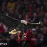 Jurgen Klopp Não Pretende Retornar ao Treinamento: ‘Não Sinto Falta de Nada’