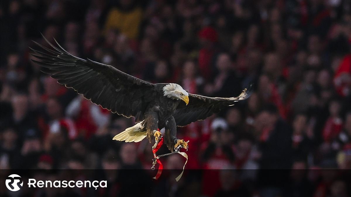 Benfica Revela Resultado Consolidado de 40,7 Milhões