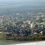 Bactérias Estranhas Encontradas em Moscas de Areia da Amazônia: Podem se Espalhar para os Humanos?