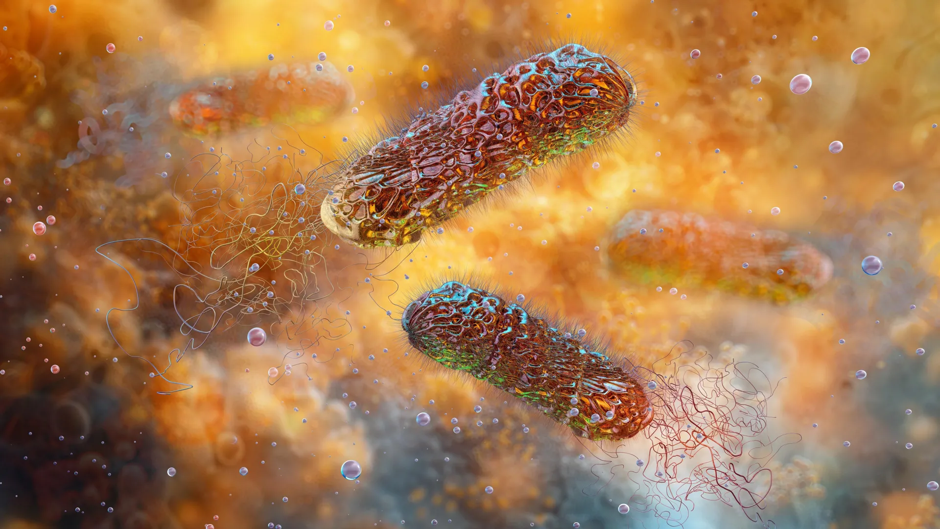 Nanotecnologia transforma vinagre em um matador de superbugs salvador de vidas