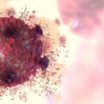 O lugar dos insubstituíveis é na vida, não no cemitério