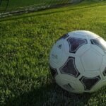 Grupo MDS estima receitas de 260 milhões em 2025, com 80 milhões provenientes de Portugal