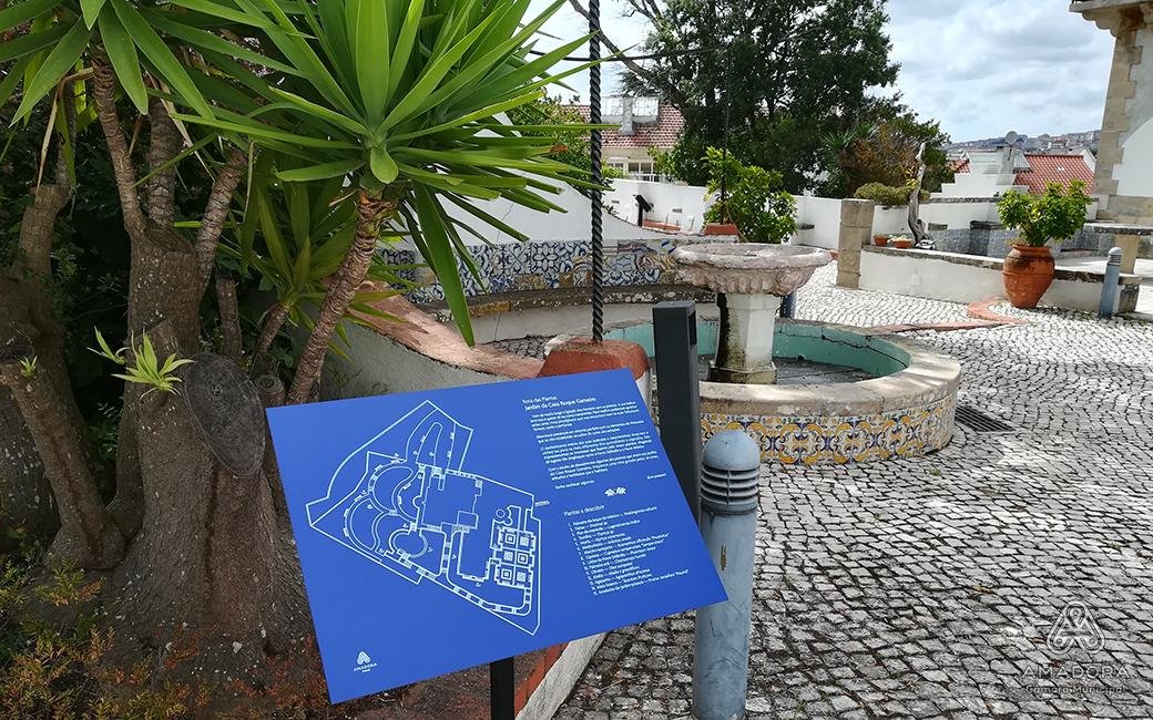 11 de Outubro | Visita e Workshop de Literacia Botânica e Ecológica nos Jardins da Casa Roque Gameiro
