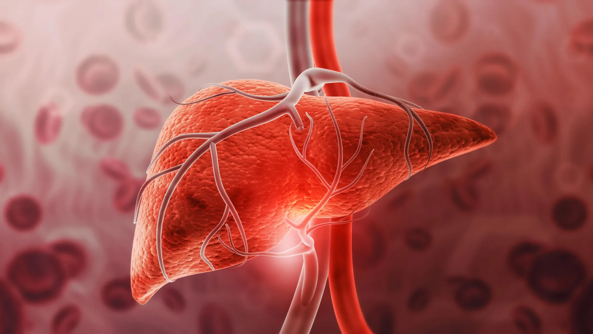 Tóxicos ocultos em casa aumentam o risco de doenças no fígado, revela estudo