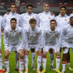 Nova terapia bacteriana destrói câncer sem o uso do sistema imunológico