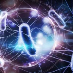 União de Leiria leva susto, mas avança para os oitavos da Taça de Portugal