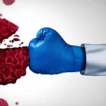 Reunião Pública – 26 de Novembro de 2025