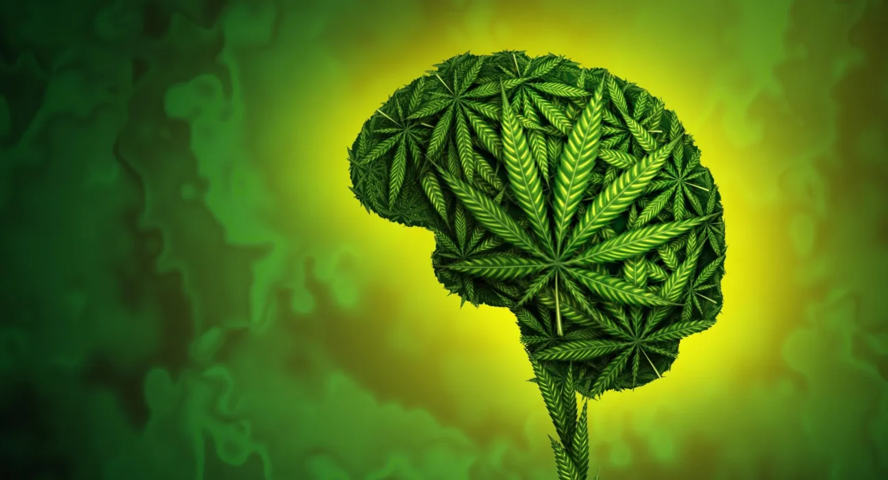 Seu DNA pode influenciar seu uso de cannabis