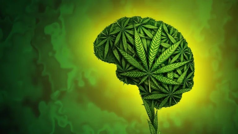 Seu DNA pode influenciar seu uso de cannabis