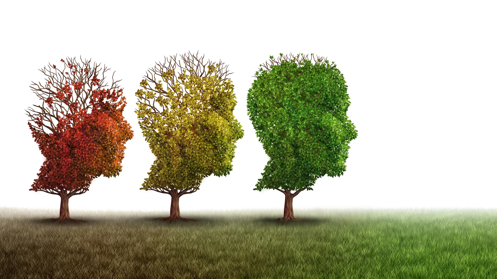 Cientistas Reverteram o Envelhecimento Cerebral e a Perda de Memória em Camundongos