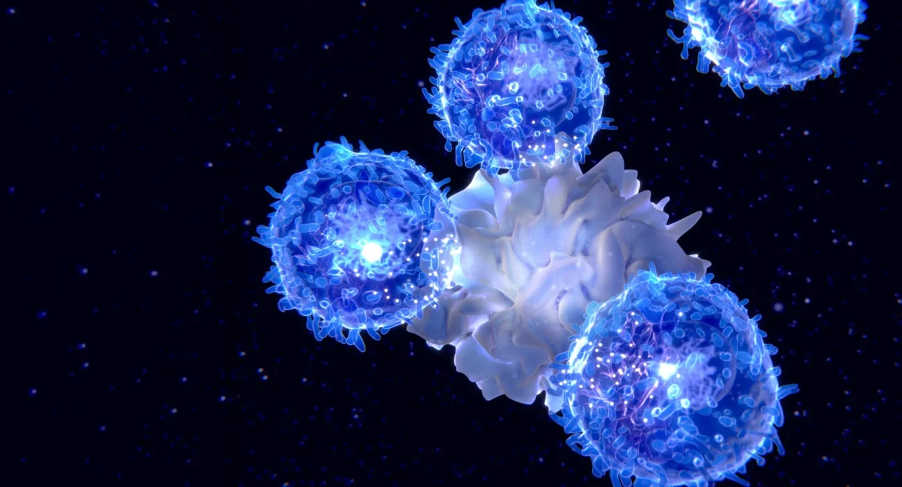 Neurocientistas descobrem células imunológicas que podem retardar o envelhecimento