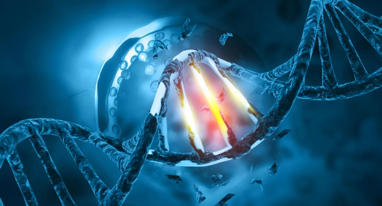 A Evolução Oculta: Como o Sêmen Masculino se Torna Mais Perigoso com a Idade