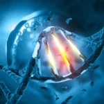 Alexandra Leitão: Dificuldades do PS na Viabilização dos Orçamentos do Novo Executivo de Lisboa